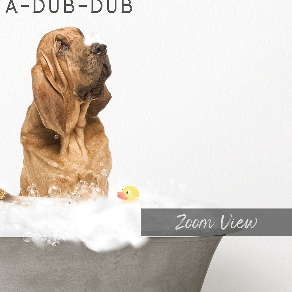 Bloodhound Scrub A-Dub-Dub in Simple Gray Bath