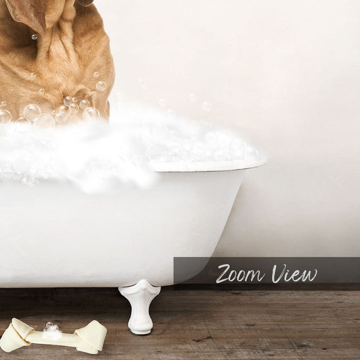 Bloodhound in Rustic Bath Style Lots of Foamy Bubbles