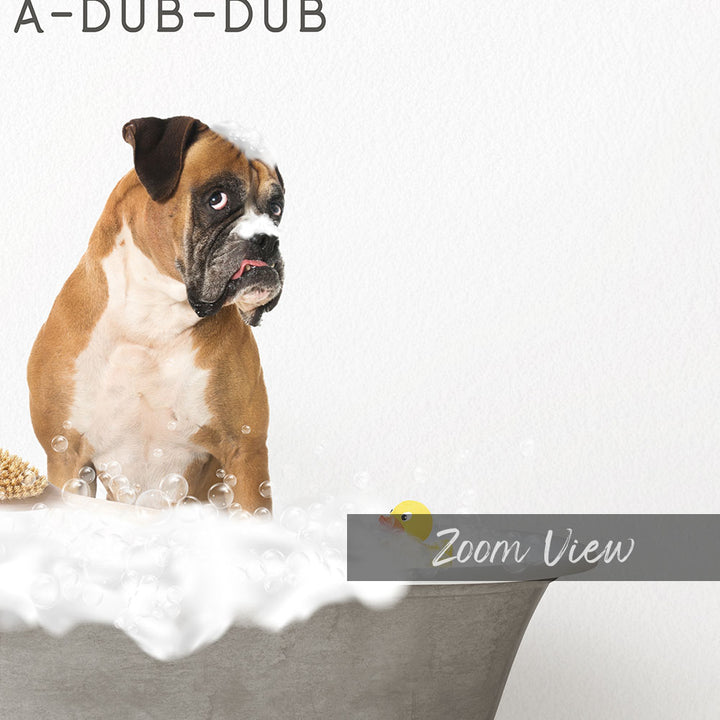 German Boxer Scrub A-Dub-Dub in Simple Gray Bath