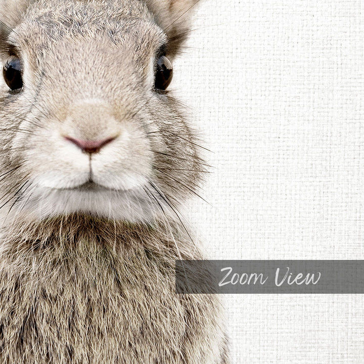 Female Rabbit - Animal Portraits