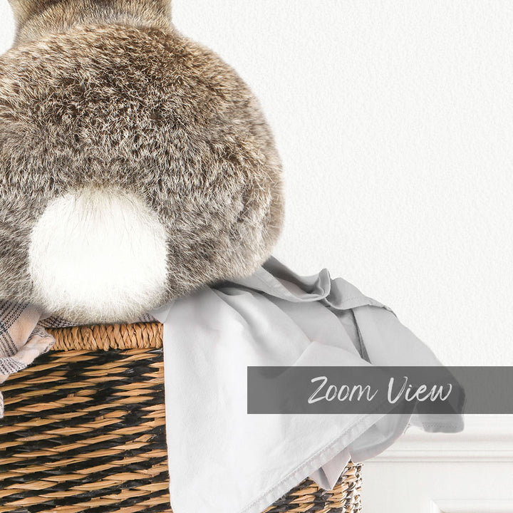 Bunnytail in Laundry Basket - Simple White Wall