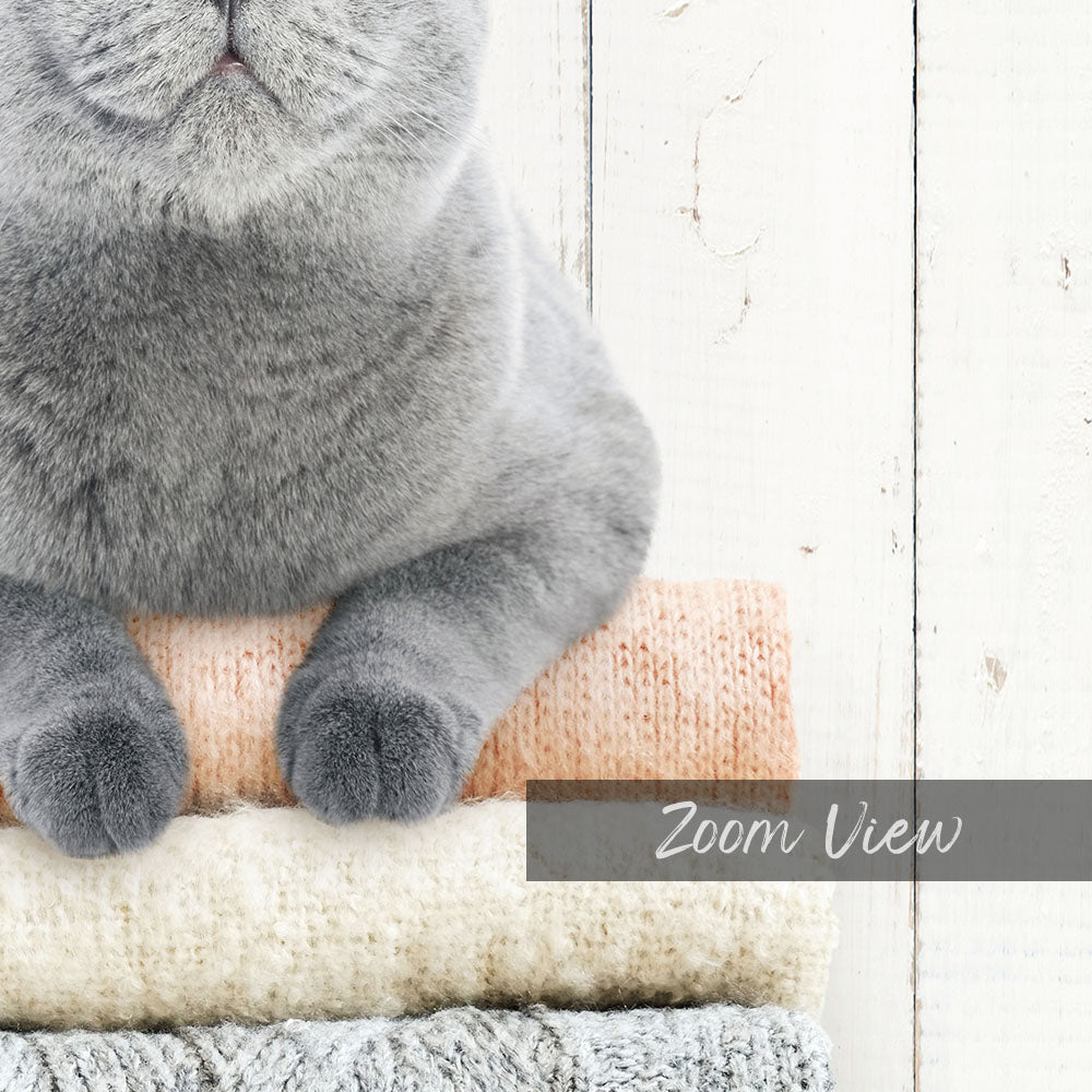 Cat on Sweaters - Farmhouse Wall