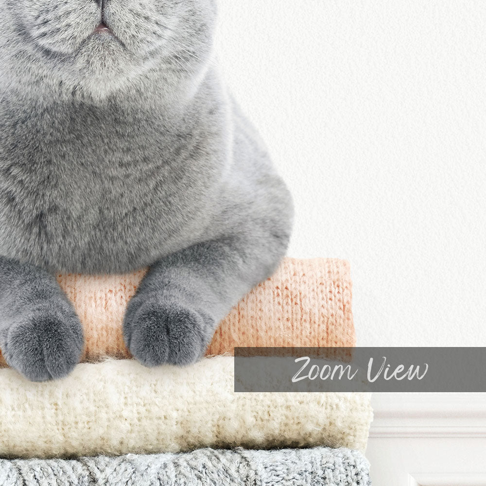 Cat on Sweaters - Simple White Wall