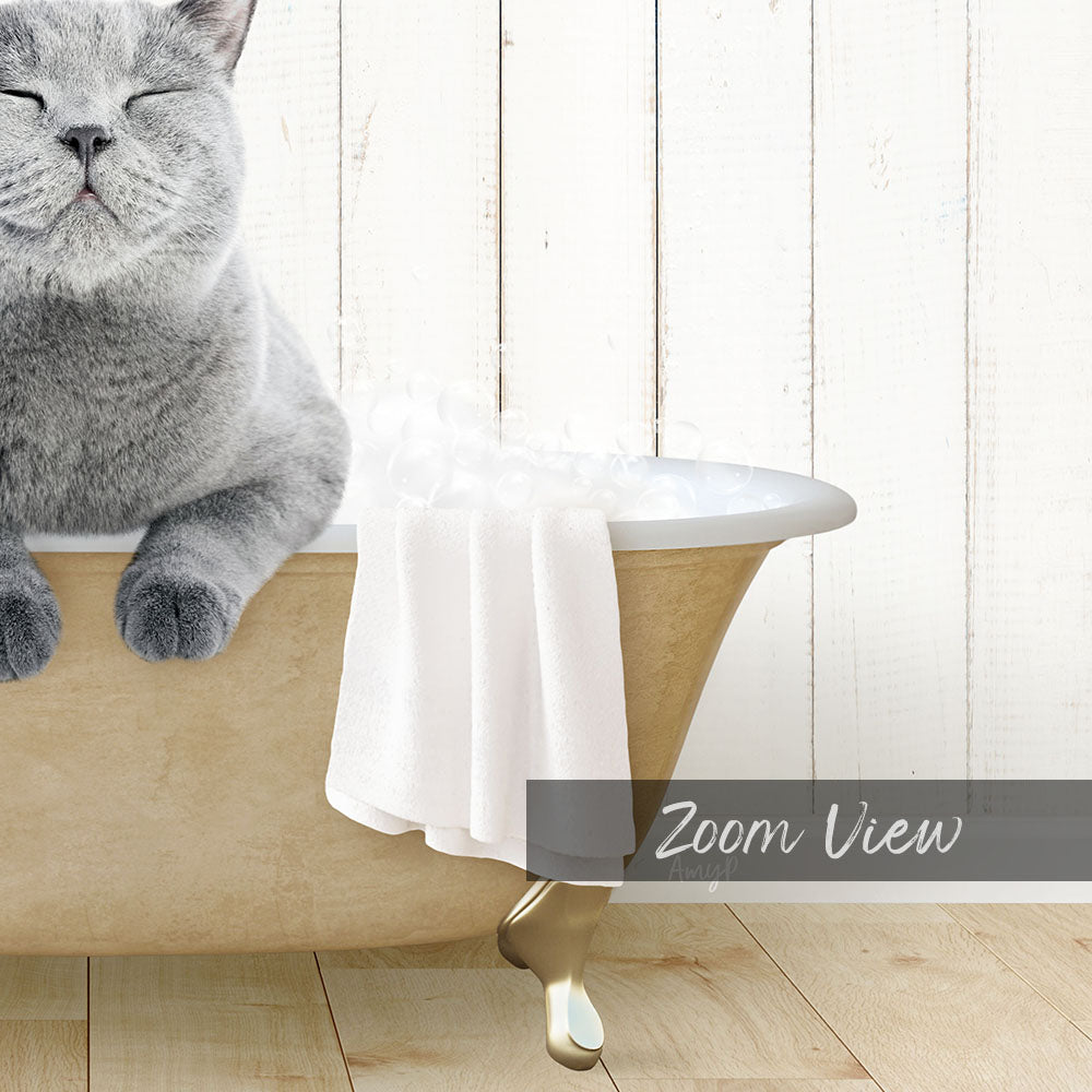 Cat in Farmhouse Bath