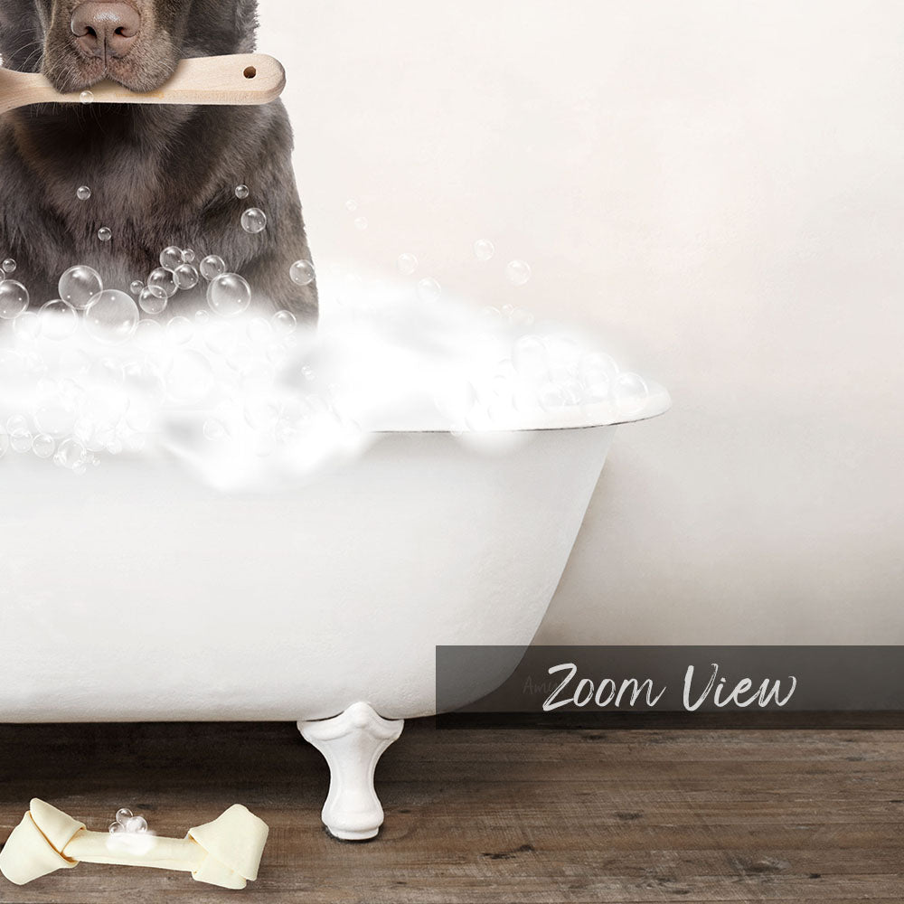 Chocolate Lab in Rustic Bath Style Lots of Foamy Bubbles