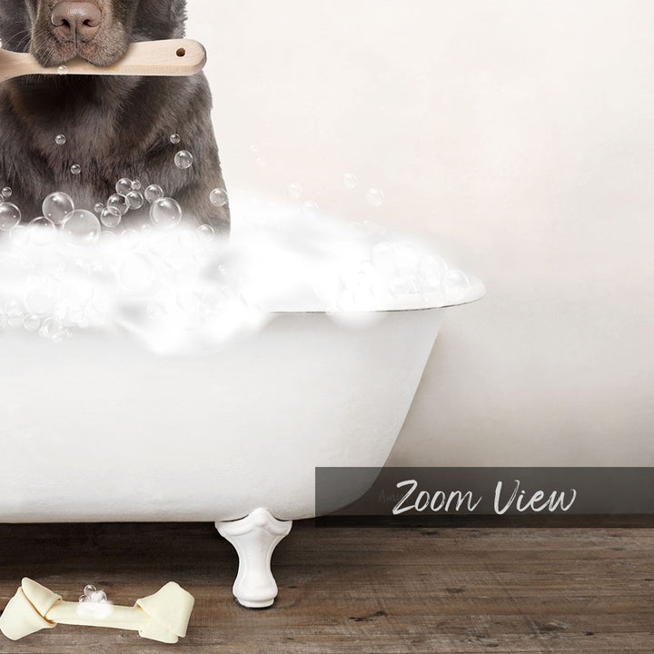 Chocolate Lab in Rustic Bath Style Lots of Foamy Bubbles