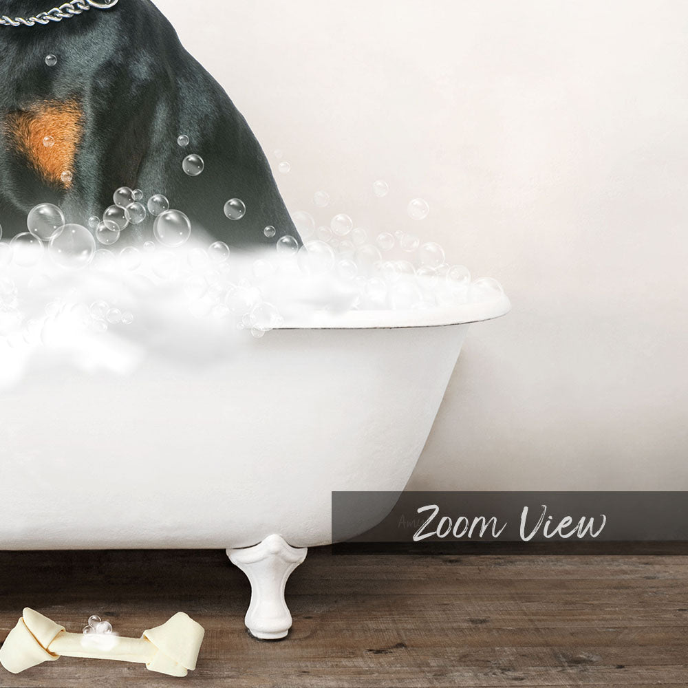 Doberman Pinscher in Rustic Bath Style Lots of Foamy Bubbles