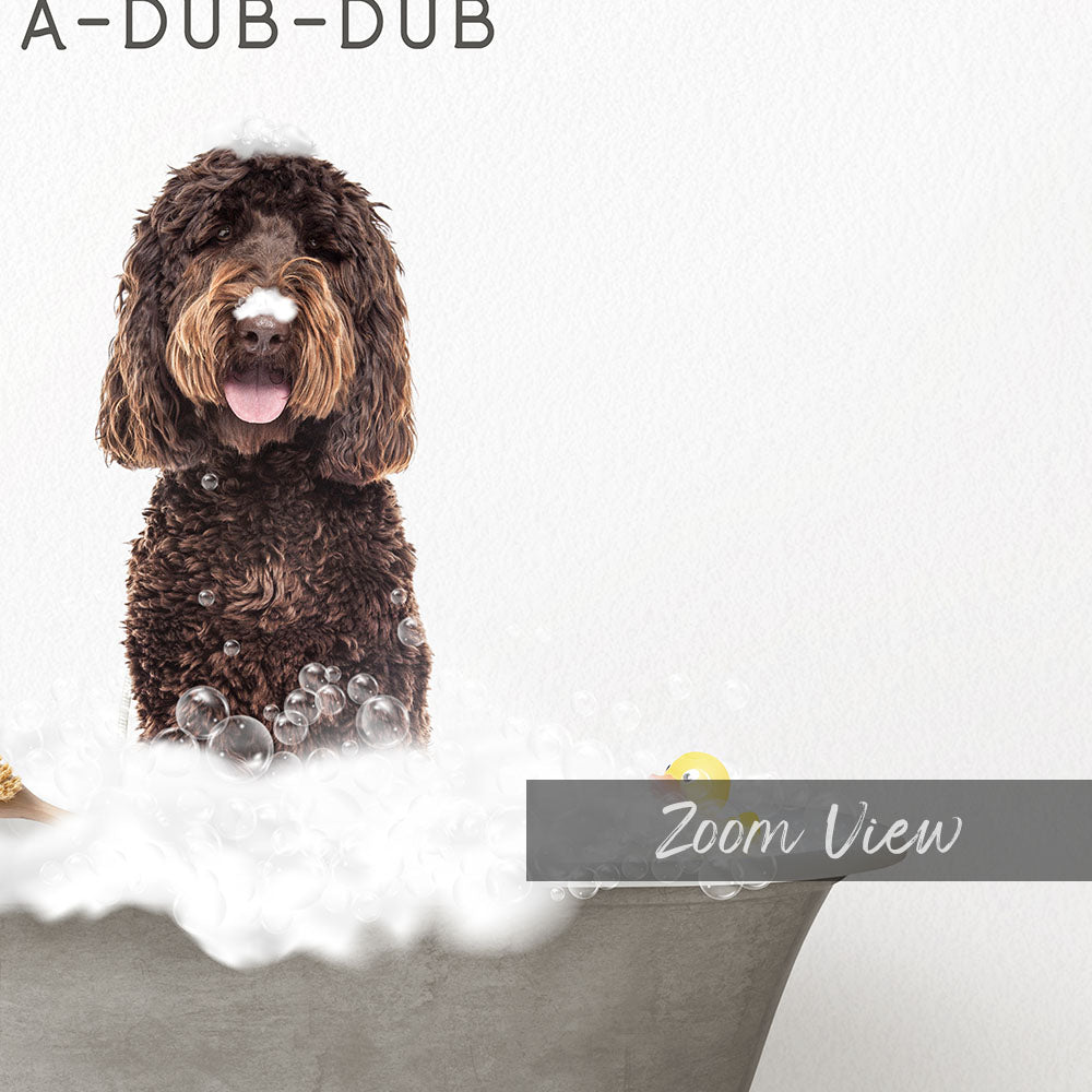 Chocolate Labradoodle Scrub A-Dub-Dub in Simple Gray Bath