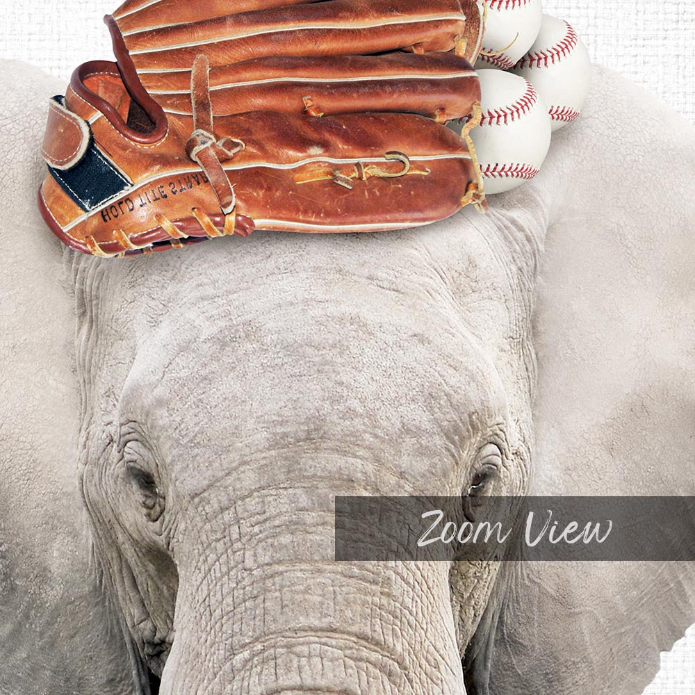 Elephant Baseball