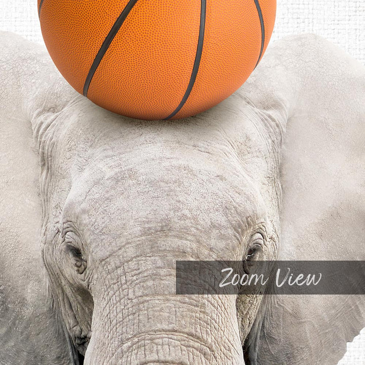 Elephant Basketball