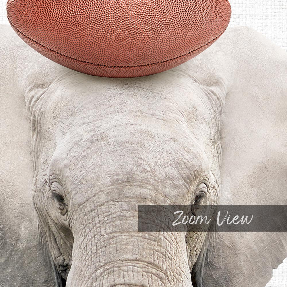 Elephant Football