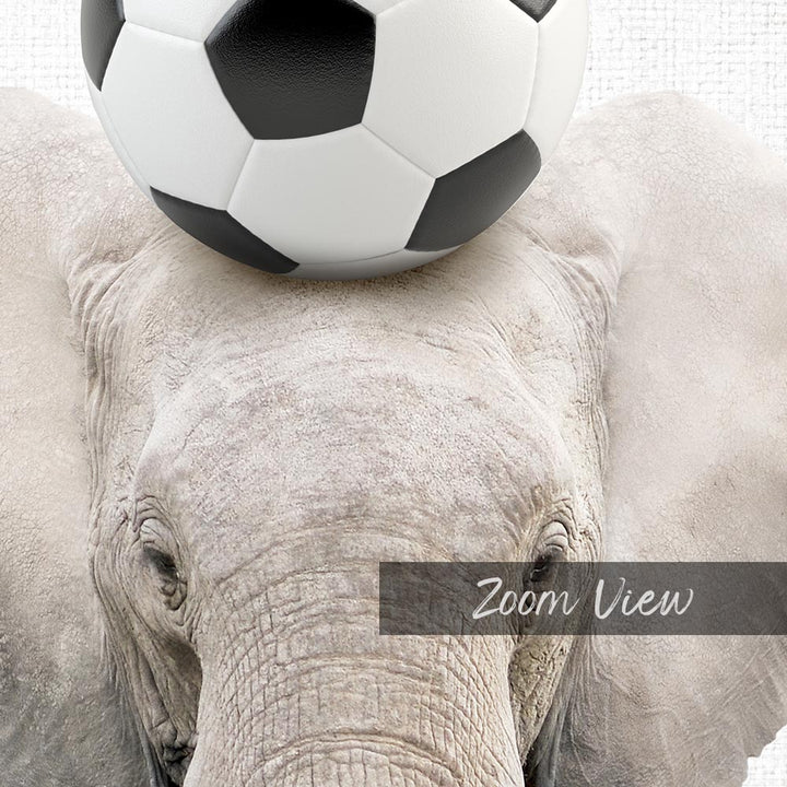 Elephant Soccer