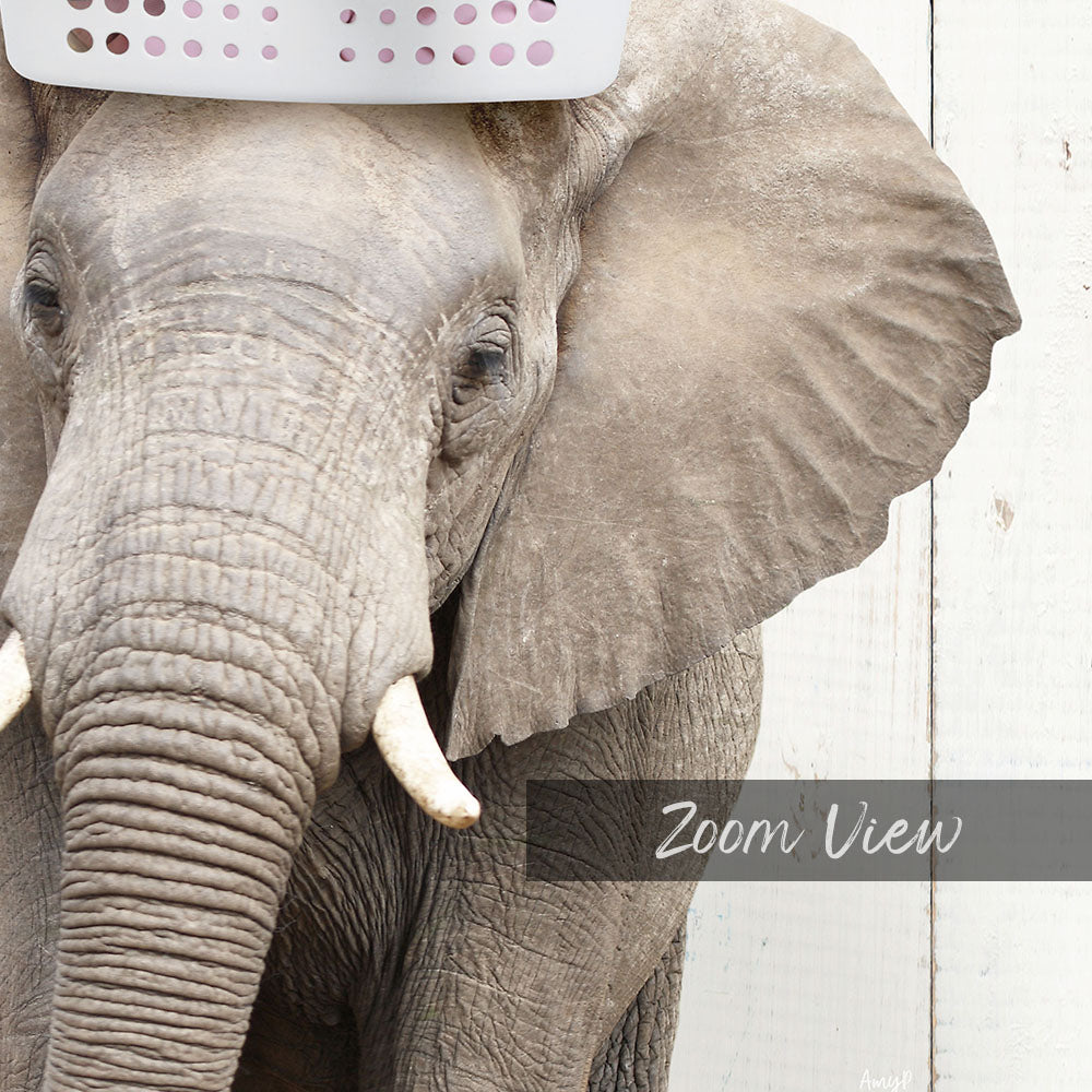 Elephant with Laundry Basket - Farmhouse Wall