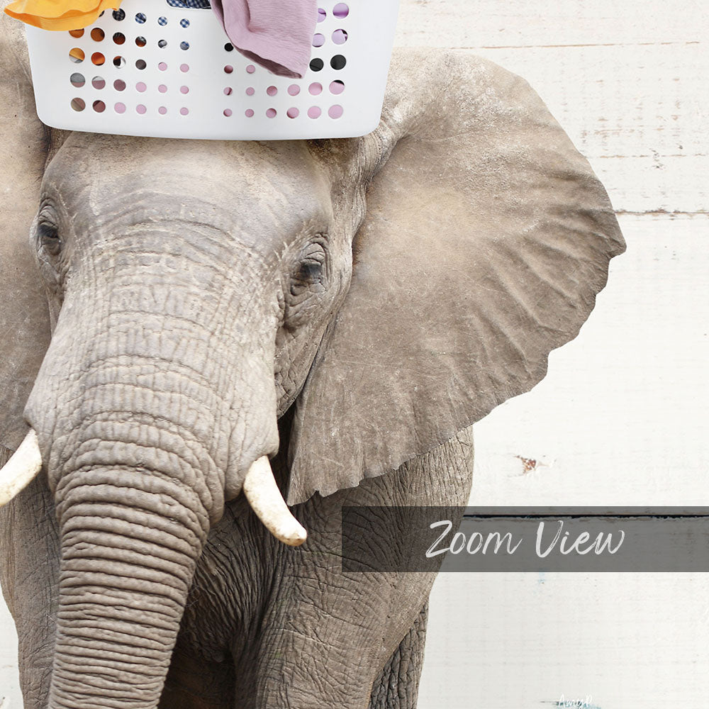 Elephant Baskethead - Farmhouse Wall Funny Sayings
