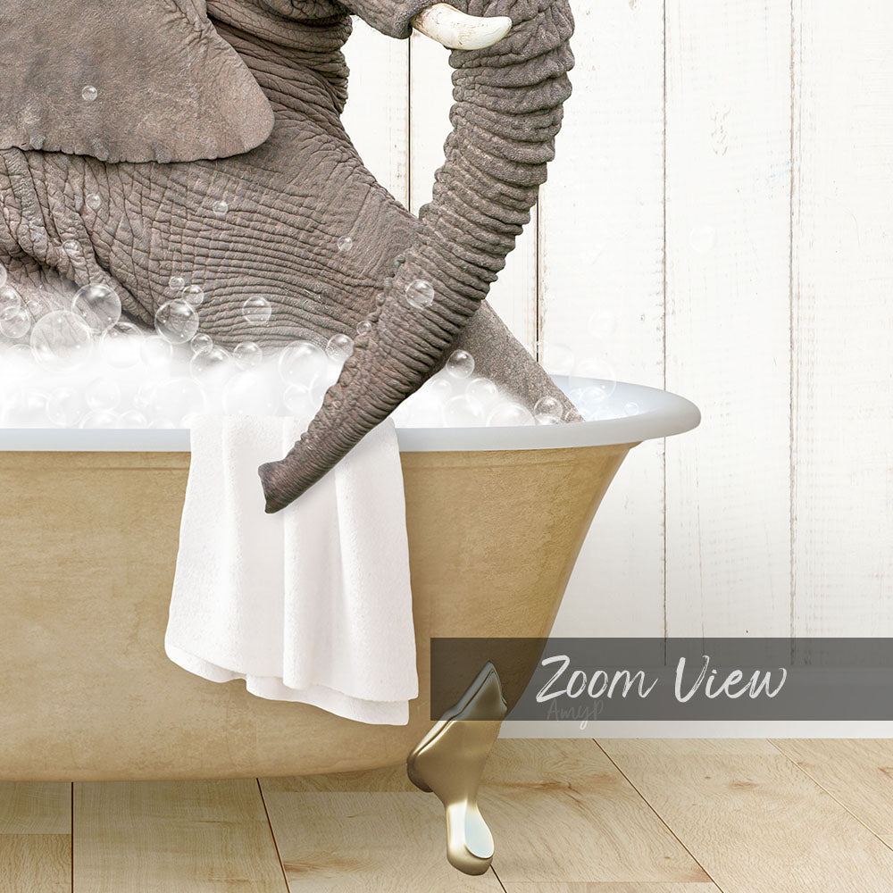 Young Elephant in Farmhouse Bath