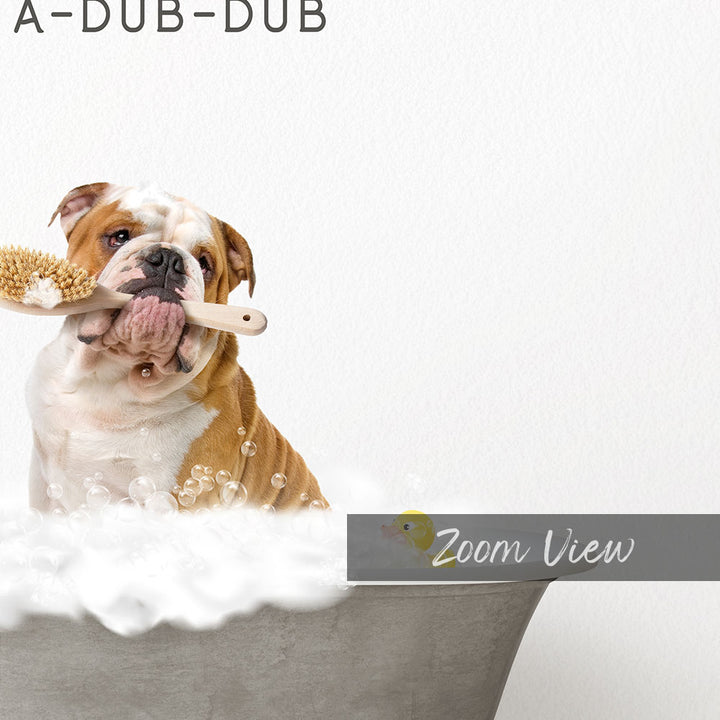 English Bulldog Scrub A-Dub-Dub in Simple Gray Bath