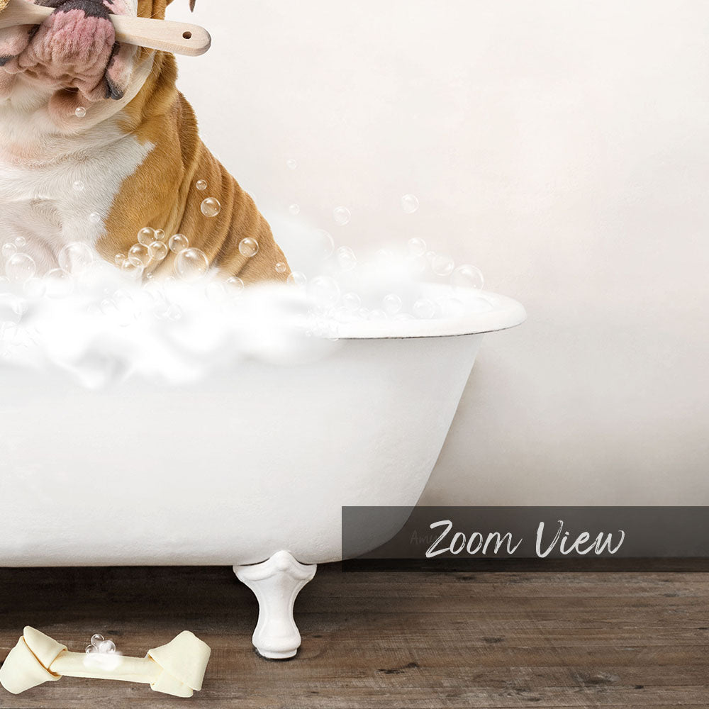 English Bulldog in Rustic Bath Style Lots of Foamy Bubbles