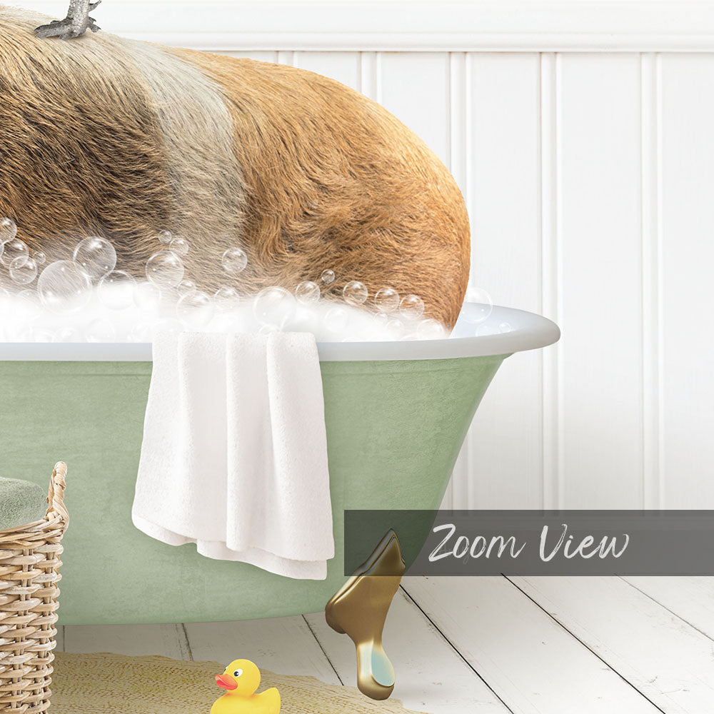 Hog and Rooster in Cottage Green Bath