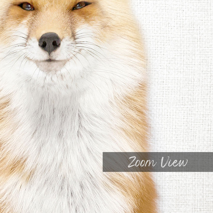 Smiling Fox - Animal Portraits