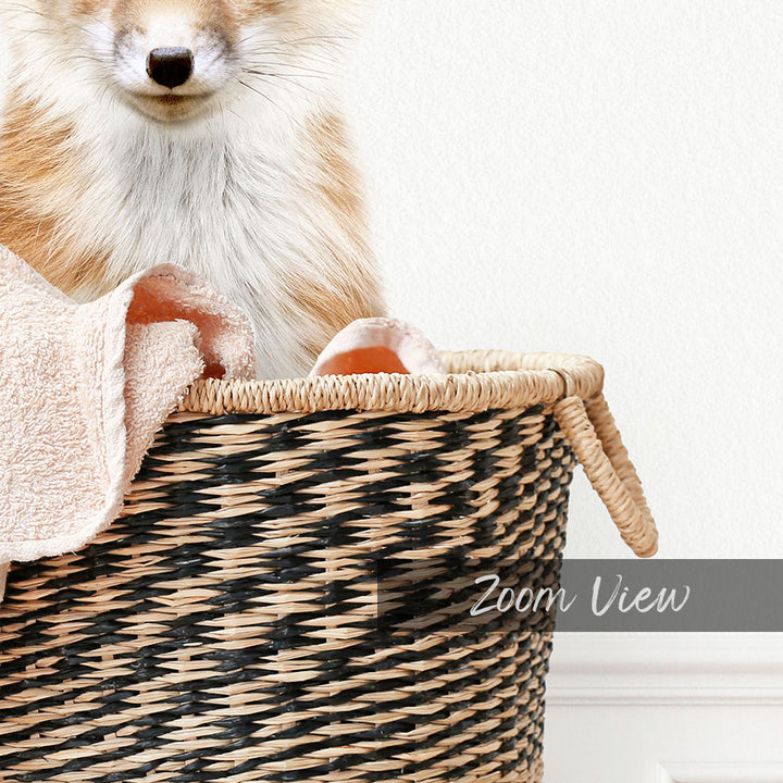 Fox in Laundry Basket - Simple White Wall
