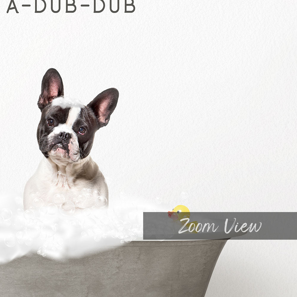 French Bulldog Scrub A-Dub-Dub in Simple Gray Bath