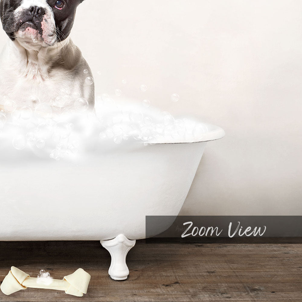 French Bulldog in Rustic Bath Style Lots of Foamy Bubbles