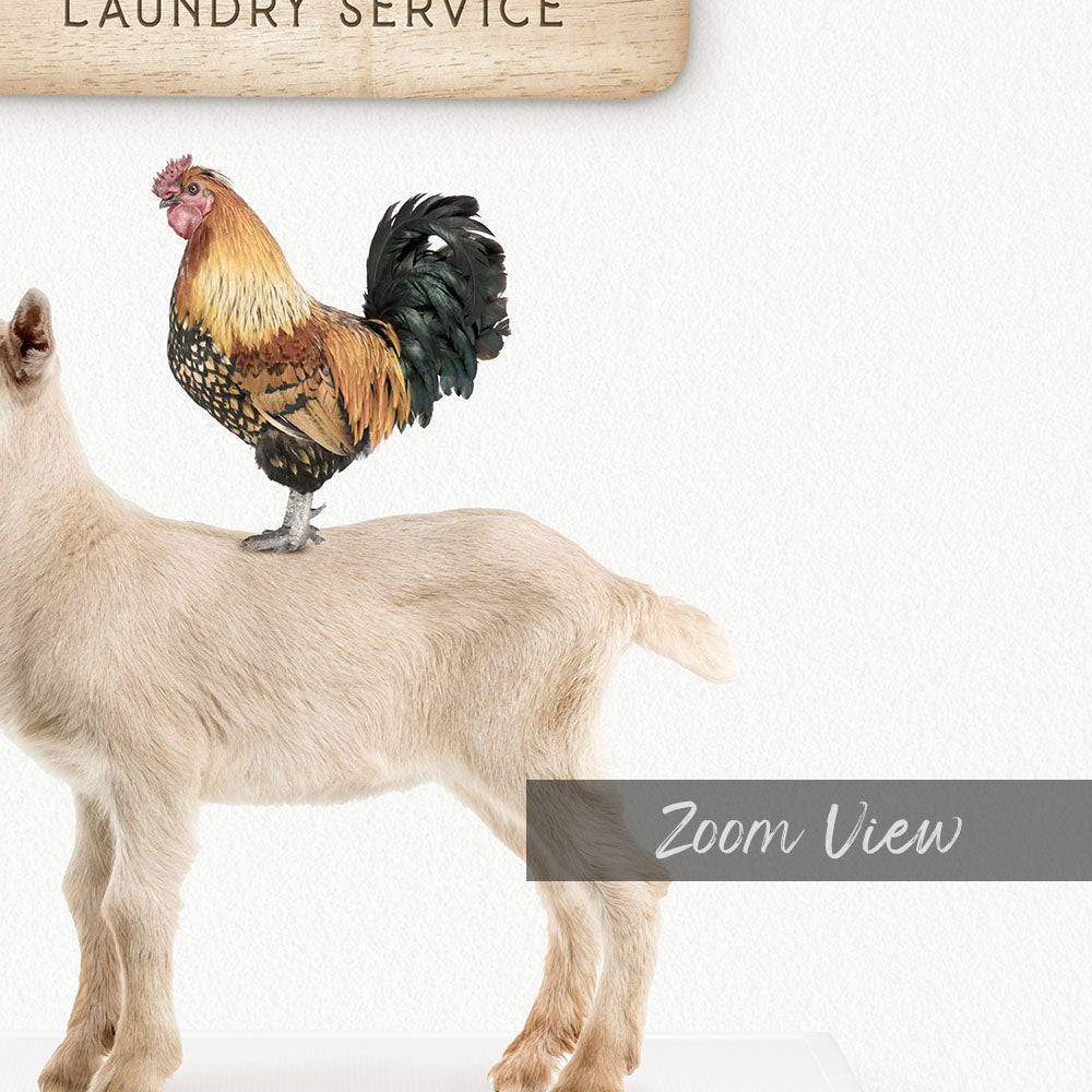 Farm Fresh Laundry Service