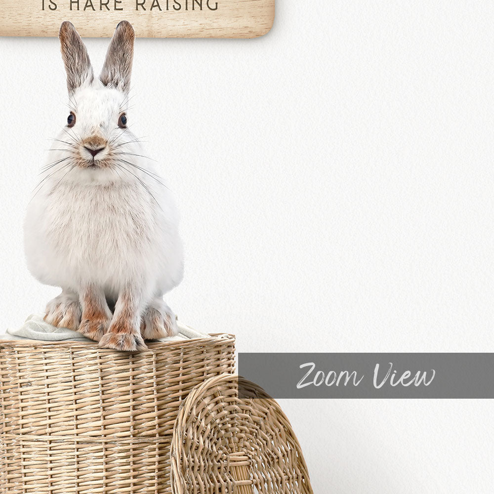 Snowshoe Hare on Laundry Basket - Scandi Floor