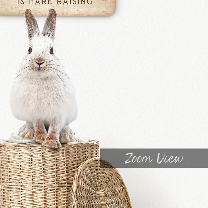 Snowshoe Hare on Laundry Basket - Scandi Floor