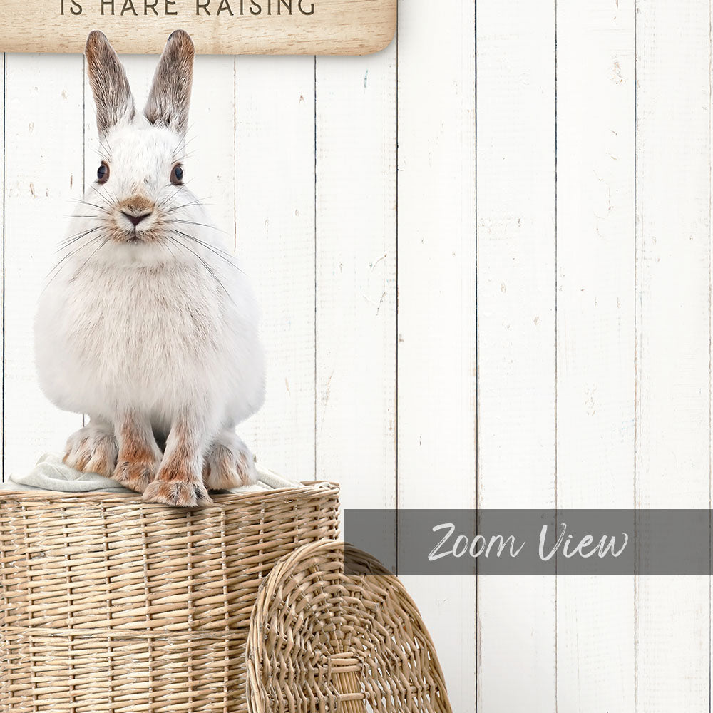 Snowshoe Hare Laundry Day is Hare Raising - Farmhouse Floor