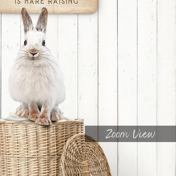 Snowshoe Hare Laundry Day is Hare Raising - Farmhouse Floor