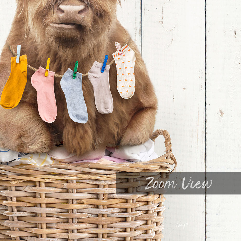 Highland Cow On Laundry Basket with Laundry Socks - Farmhouse Wall