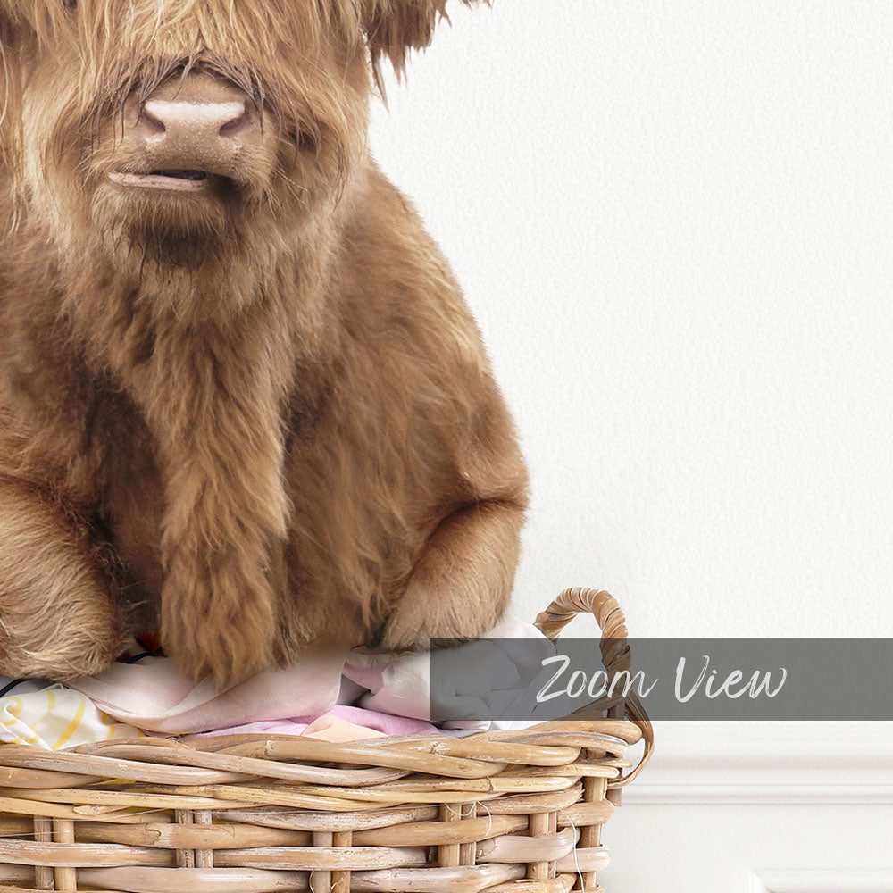 Highland Cow On Laundry Basket - Simple White Wall
