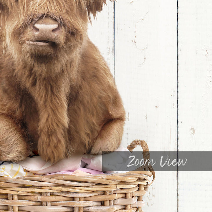 Highland Cow On Laundry Basket - Farmhouse Wall