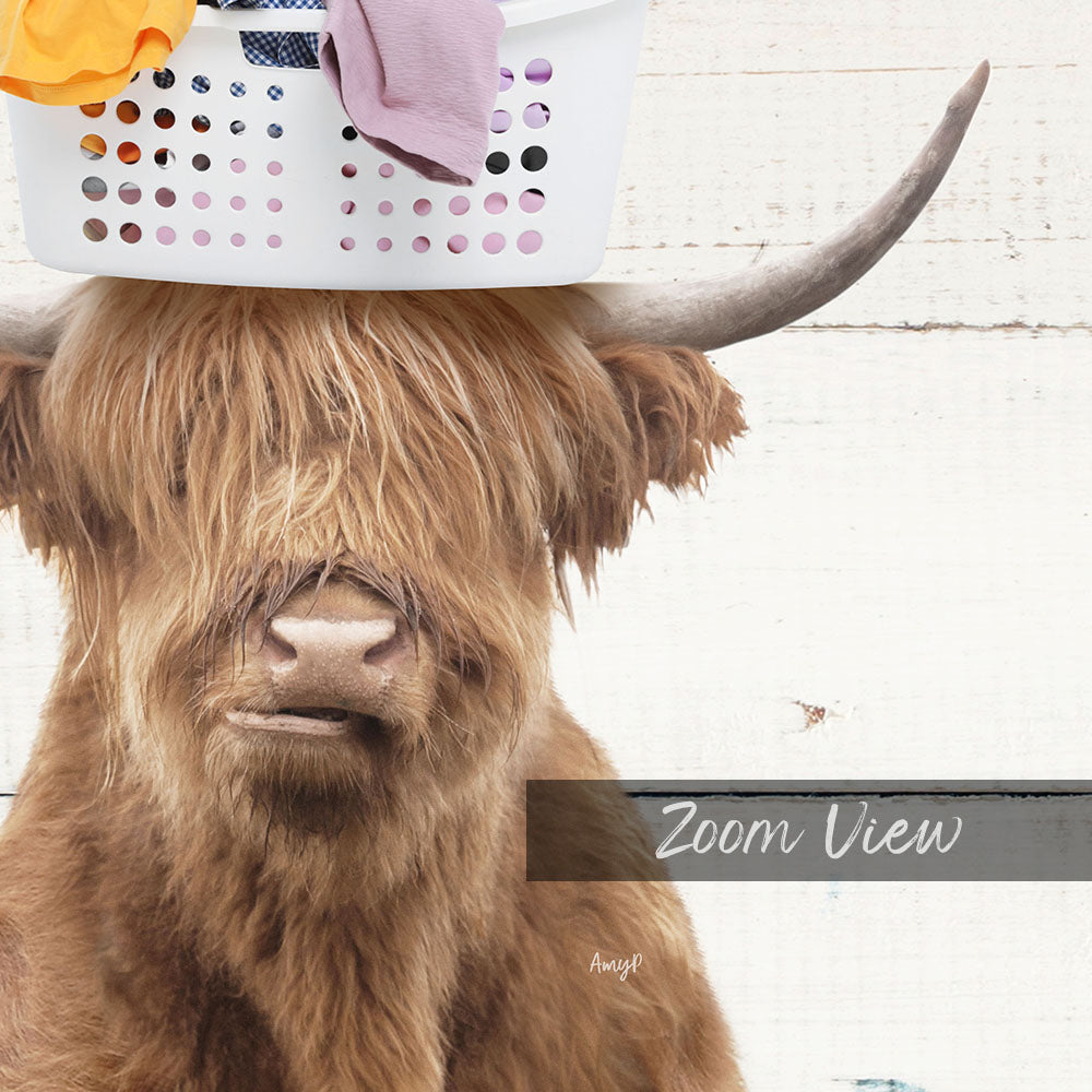 Highland Cow Baskethead - Farmhouse Wall Funny Sayings