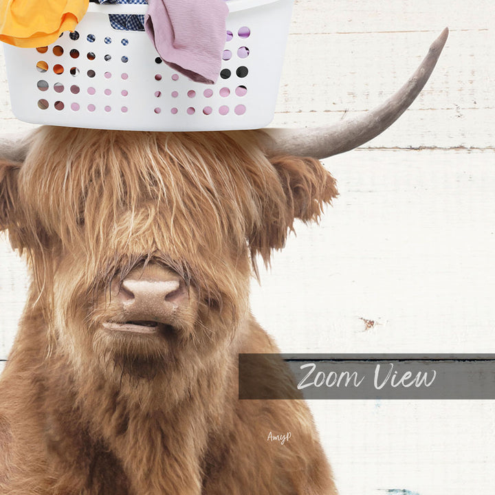 Highland Cow Baskethead - Farmhouse Wall Funny Sayings
