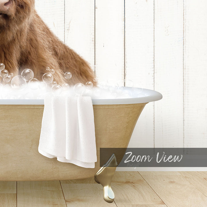 Highland Cow in Farmhouse Bath