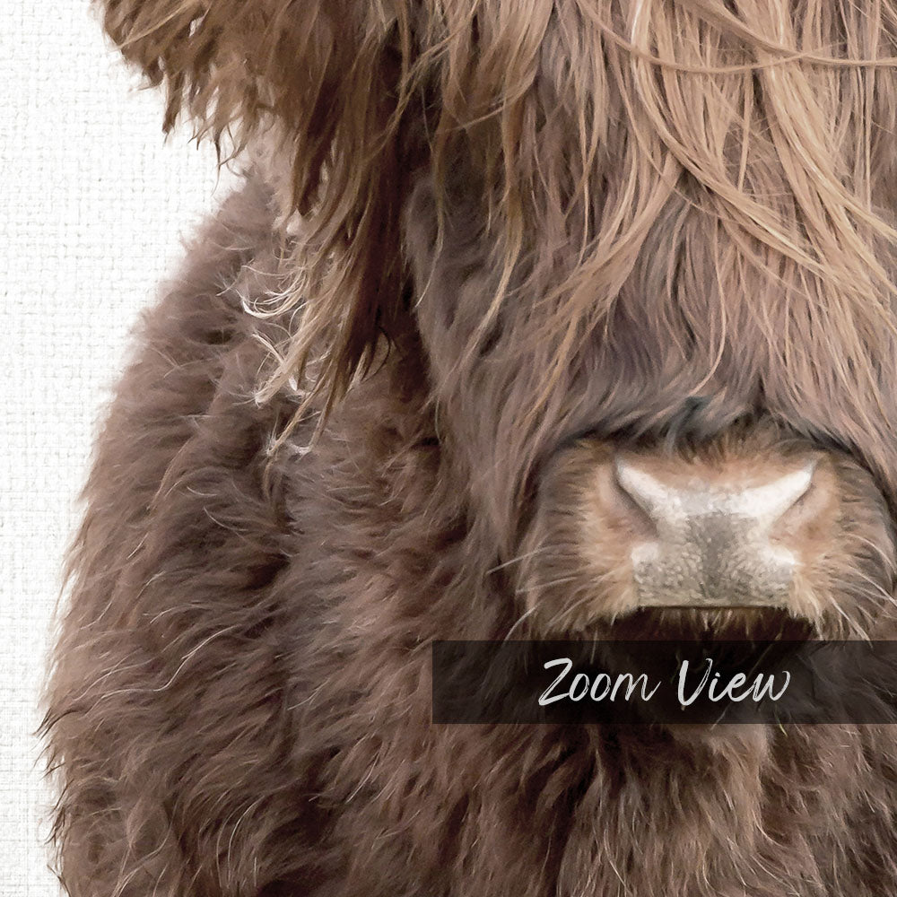 Highland Cow Off Center - Animal Portraits