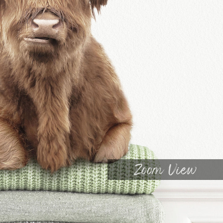 Highland Cow on Folded Sweaters - Simple White Wall