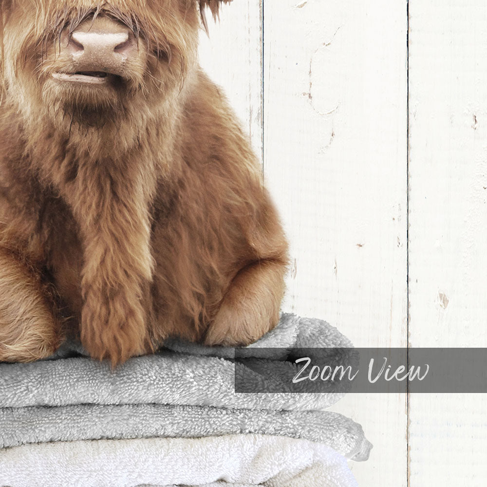 Highland Cow on Folded Towels - Farmhouse Wall