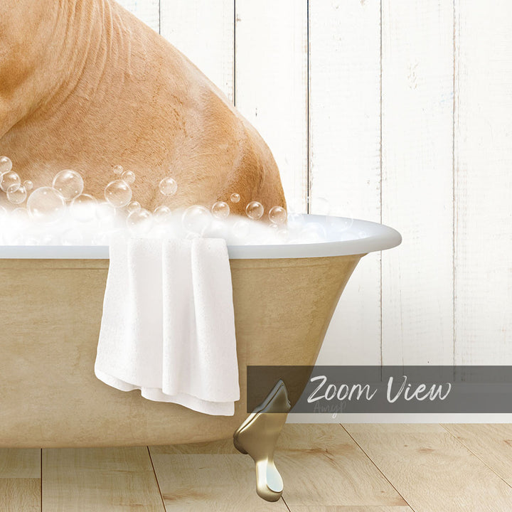 Horse in Farmhouse Bath