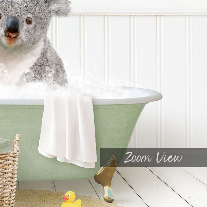 Koala Bear in Cottage Green Bath