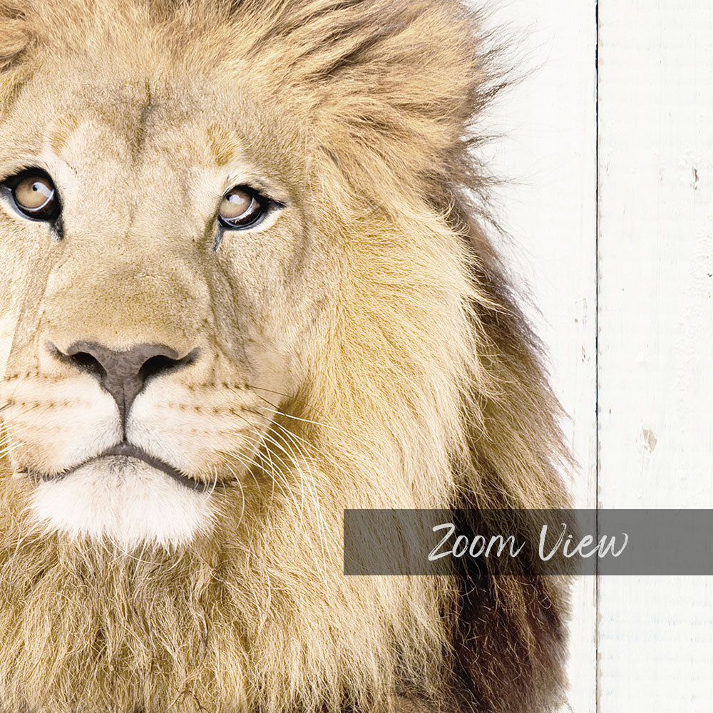 Lion with Folded Towels - Farmhouse Wall