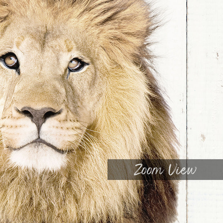 Lion with Folded Towels - Farmhouse Wall