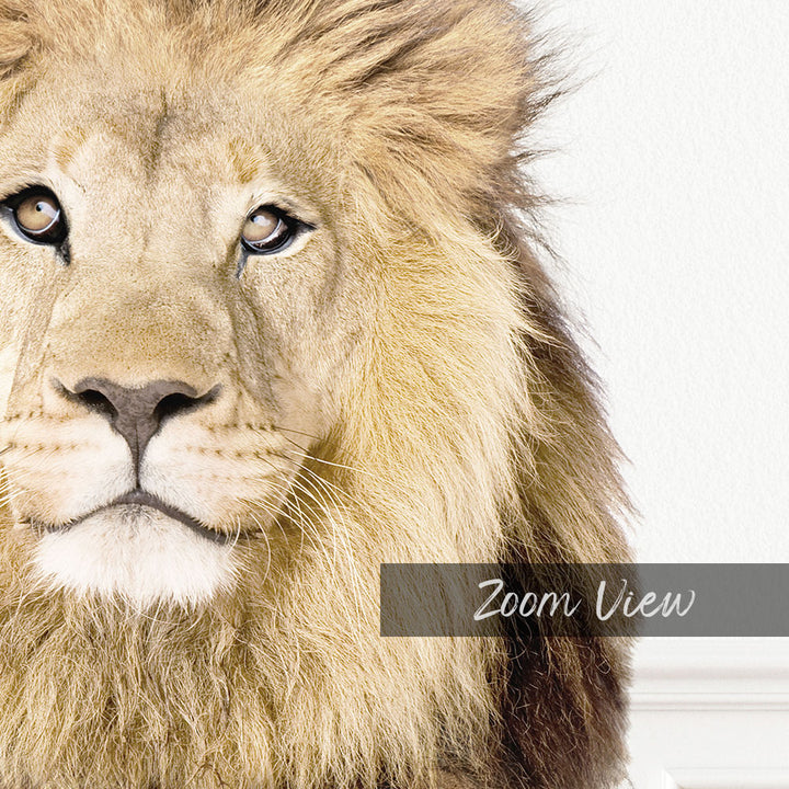 Lion with Folded Towels - Simple White Wall
