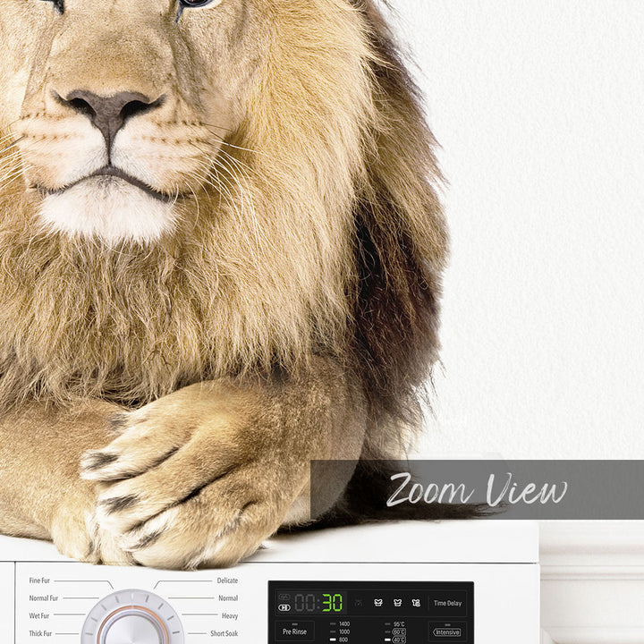 Lion on Washing Machine - Simple White Wall