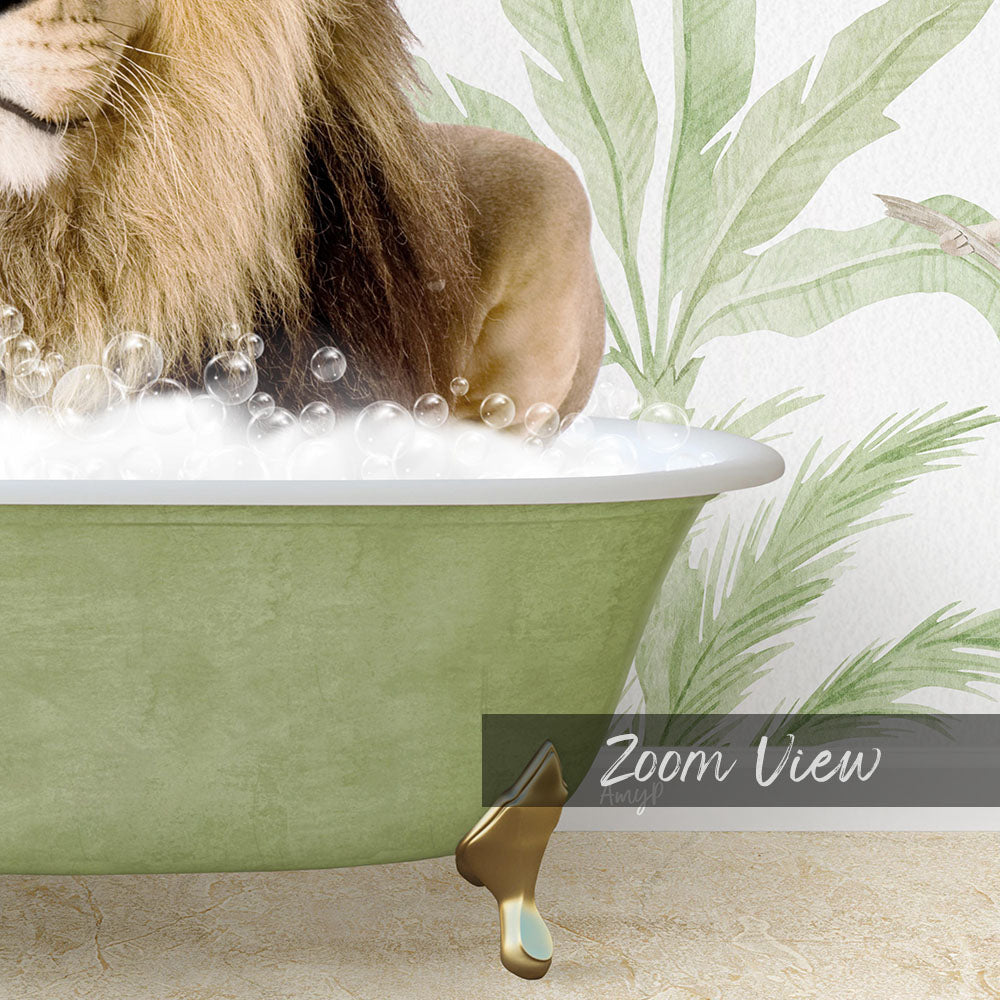Male Lion in Safari Bath