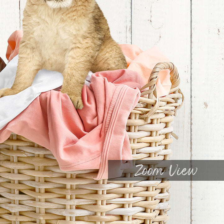 Lion Cub in Laundry Basket - Farmhouse Wall
