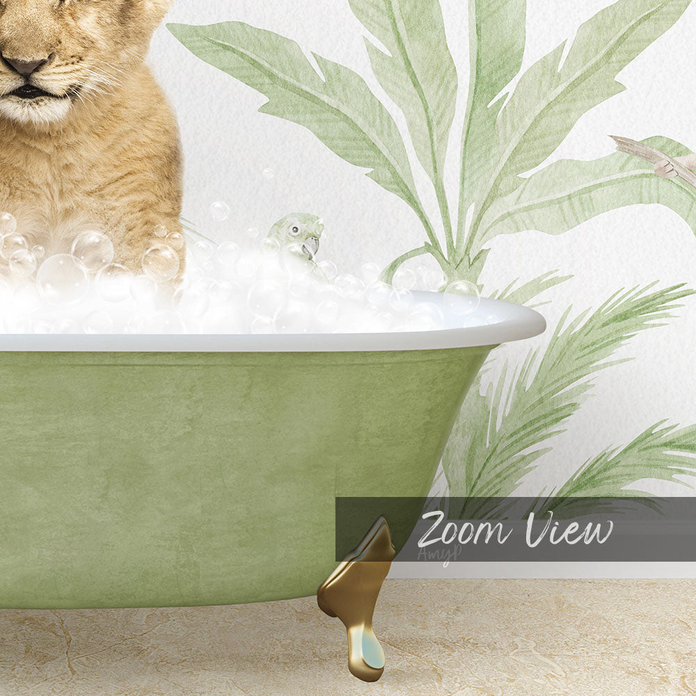 Lion Cub in Safari Bath