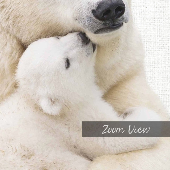 Mother and Baby Polar Bear - Animal Portraits